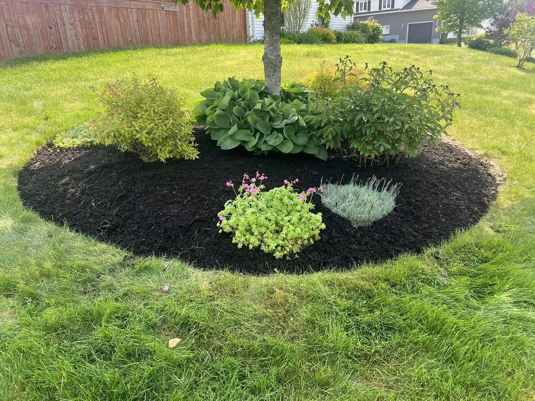 Garden bed installation with dark mulch and ornamental shrubs, Halifax Regional Municipality